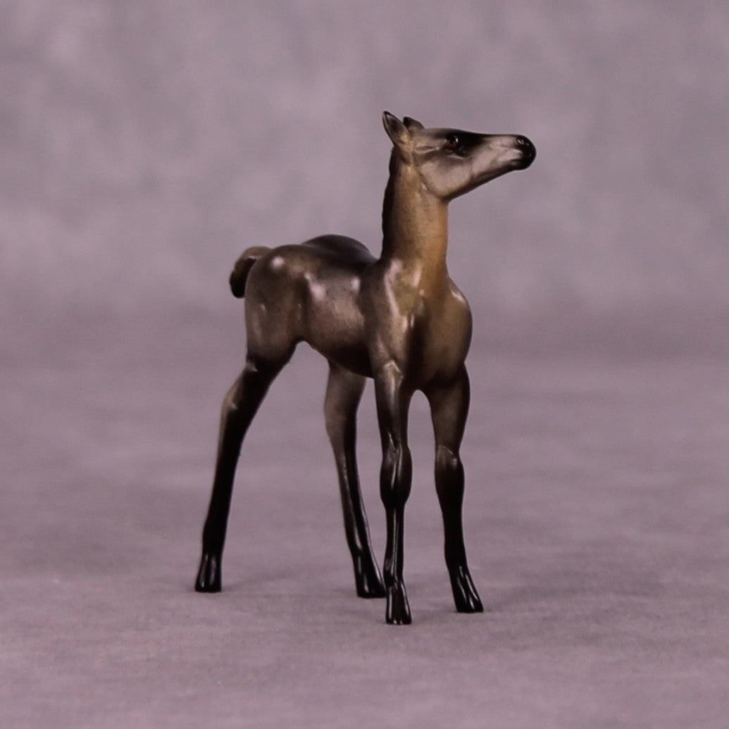 Tankwa Karoo OOAK Foal Chip by Jess Hamill MS25