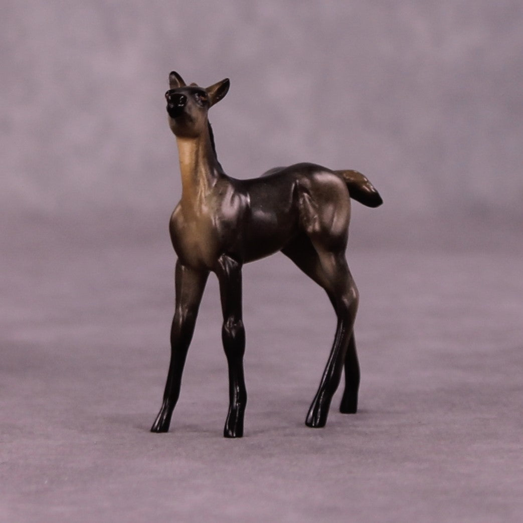 Tankwa Karoo OOAK Foal Chip by Jess Hamill MS25