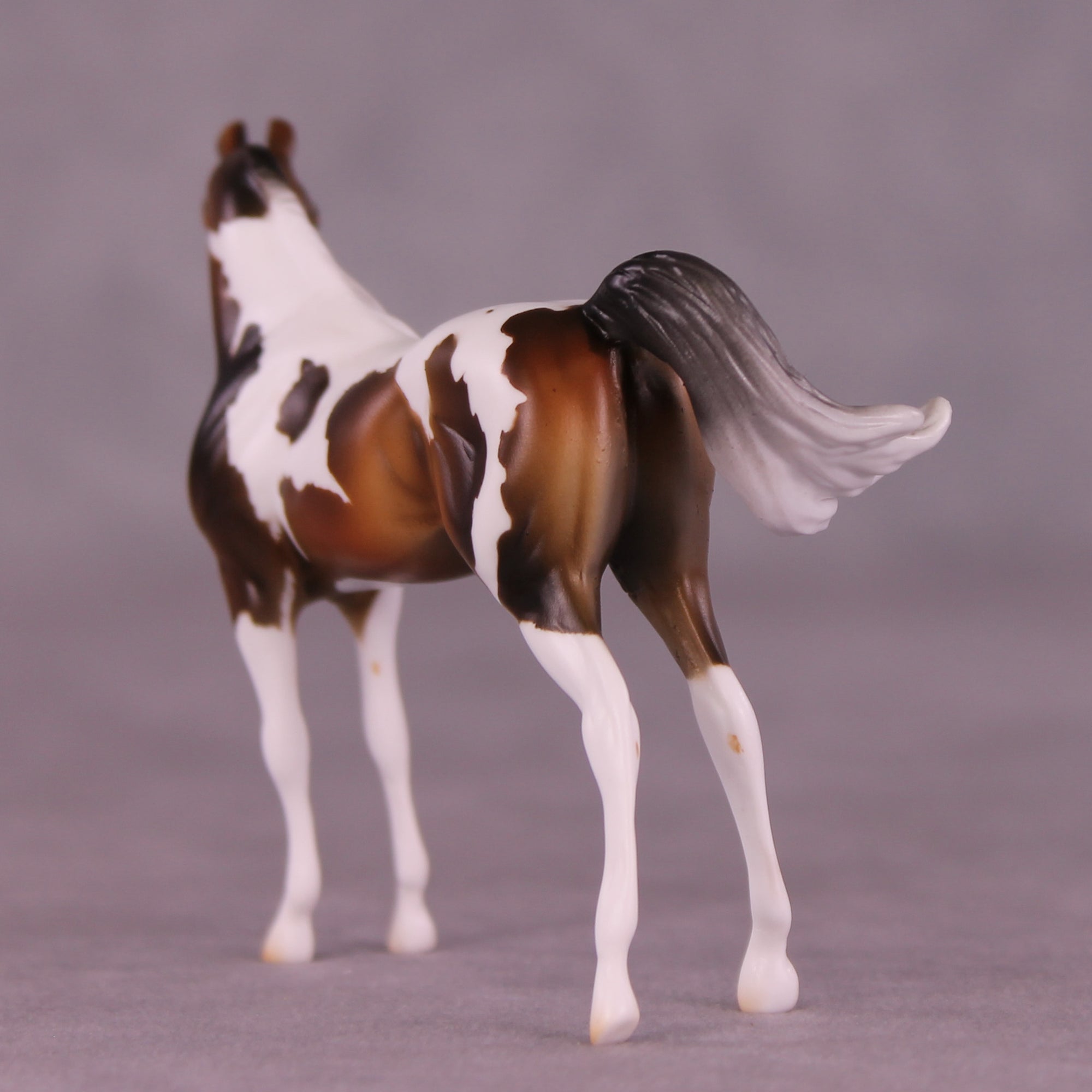 Mountain Mint OOAK FCM Chip Arabian by Mindy Berg Best Offers LHS25 09/09/2025