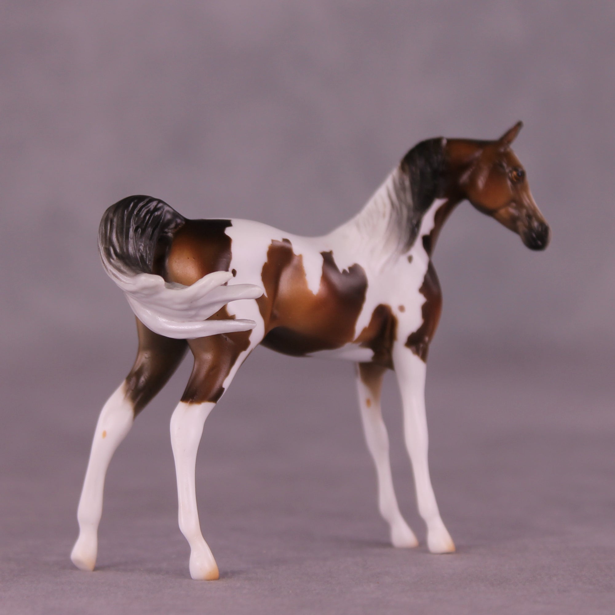 Mountain Mint OOAK FCM Chip Arabian by Mindy Berg Best Offers LHS25 09/09/2025