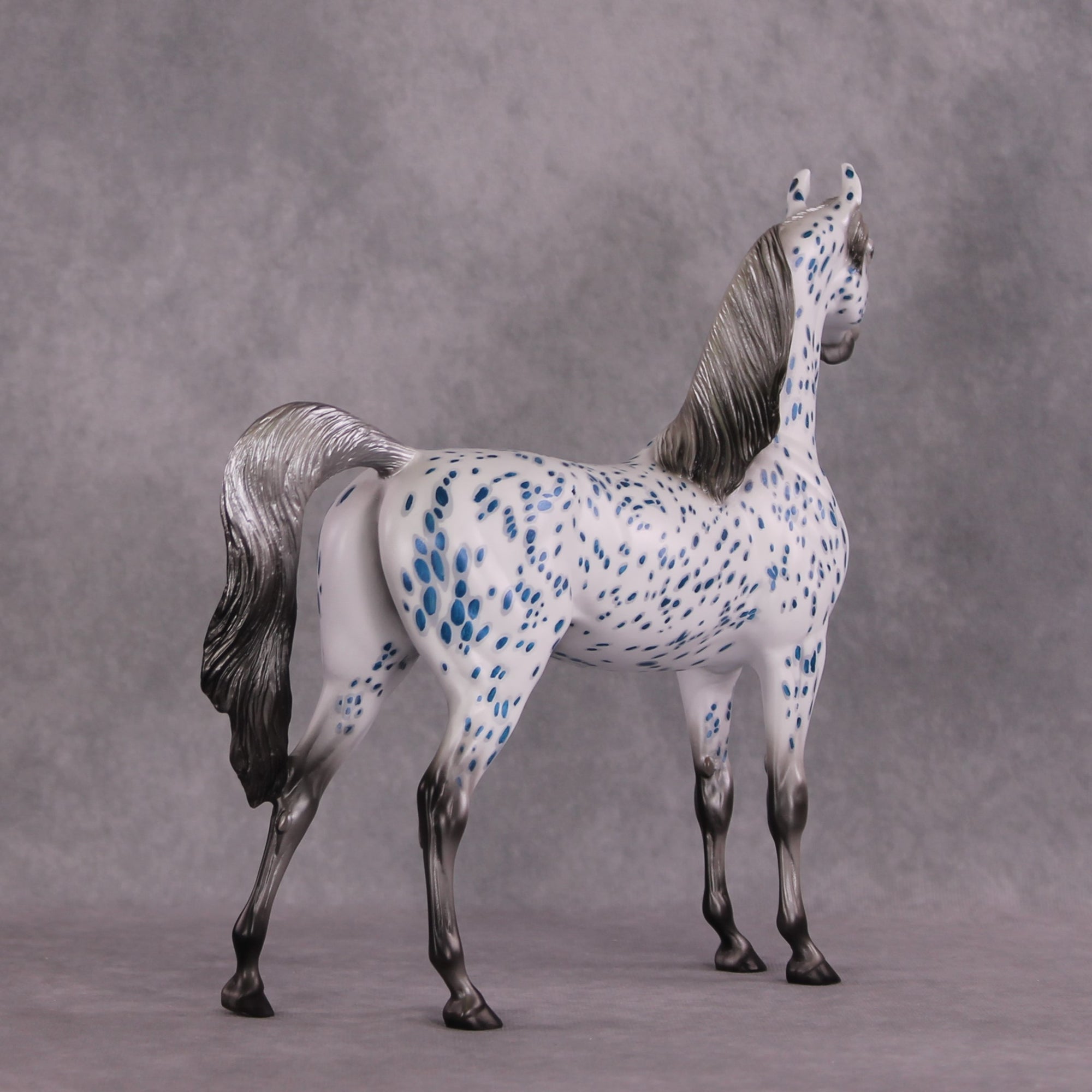 "Tickets" OOAK Arabian by Dawn Quick SHCF25