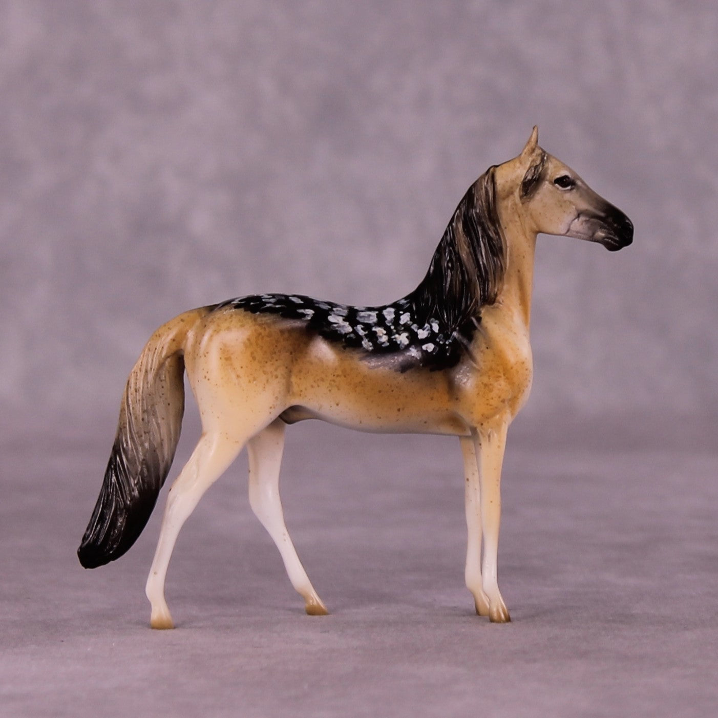 Tanamera OOAK Morgan Chip by Jess Hamill MS25