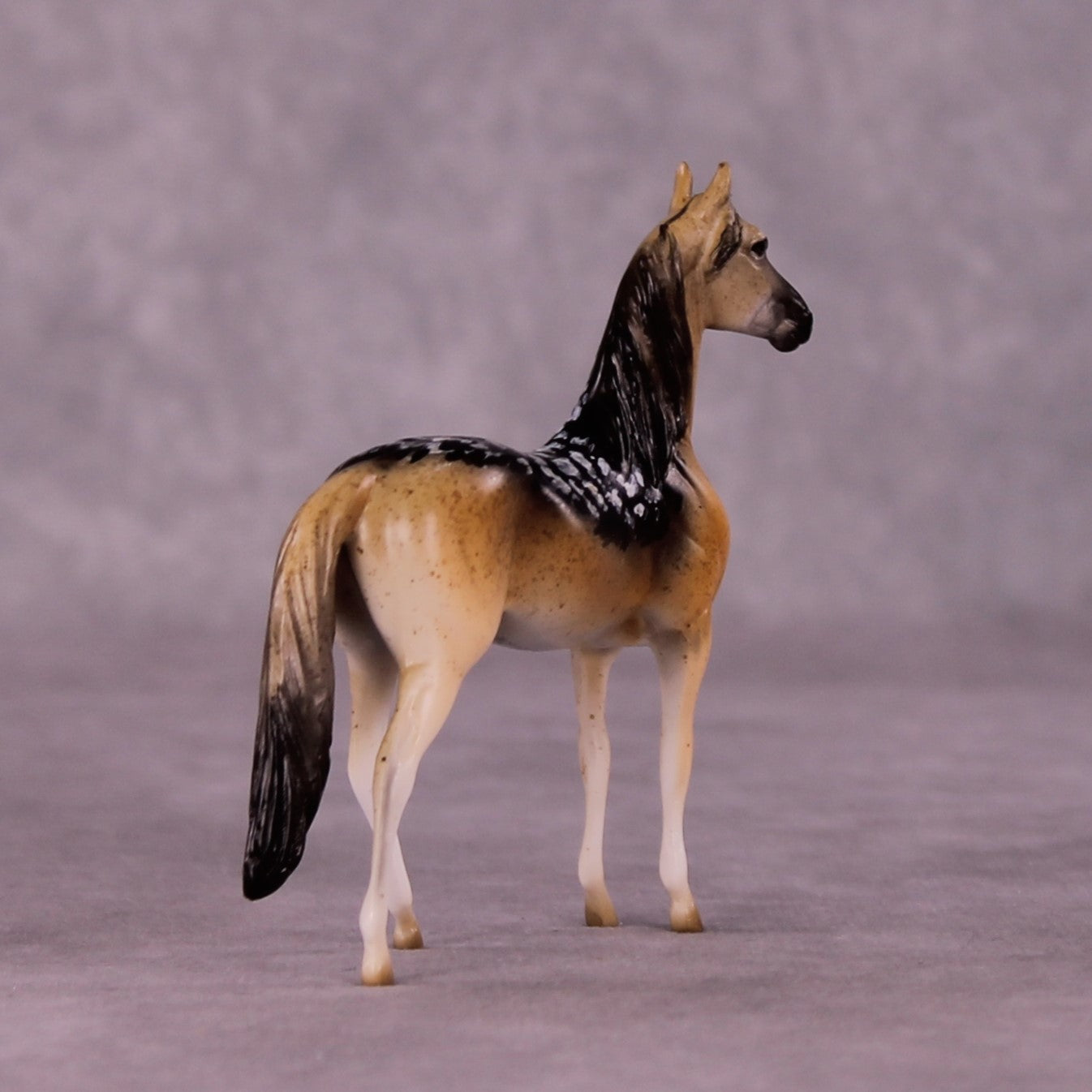 Tanamera OOAK Morgan Chip by Jess Hamill MS25