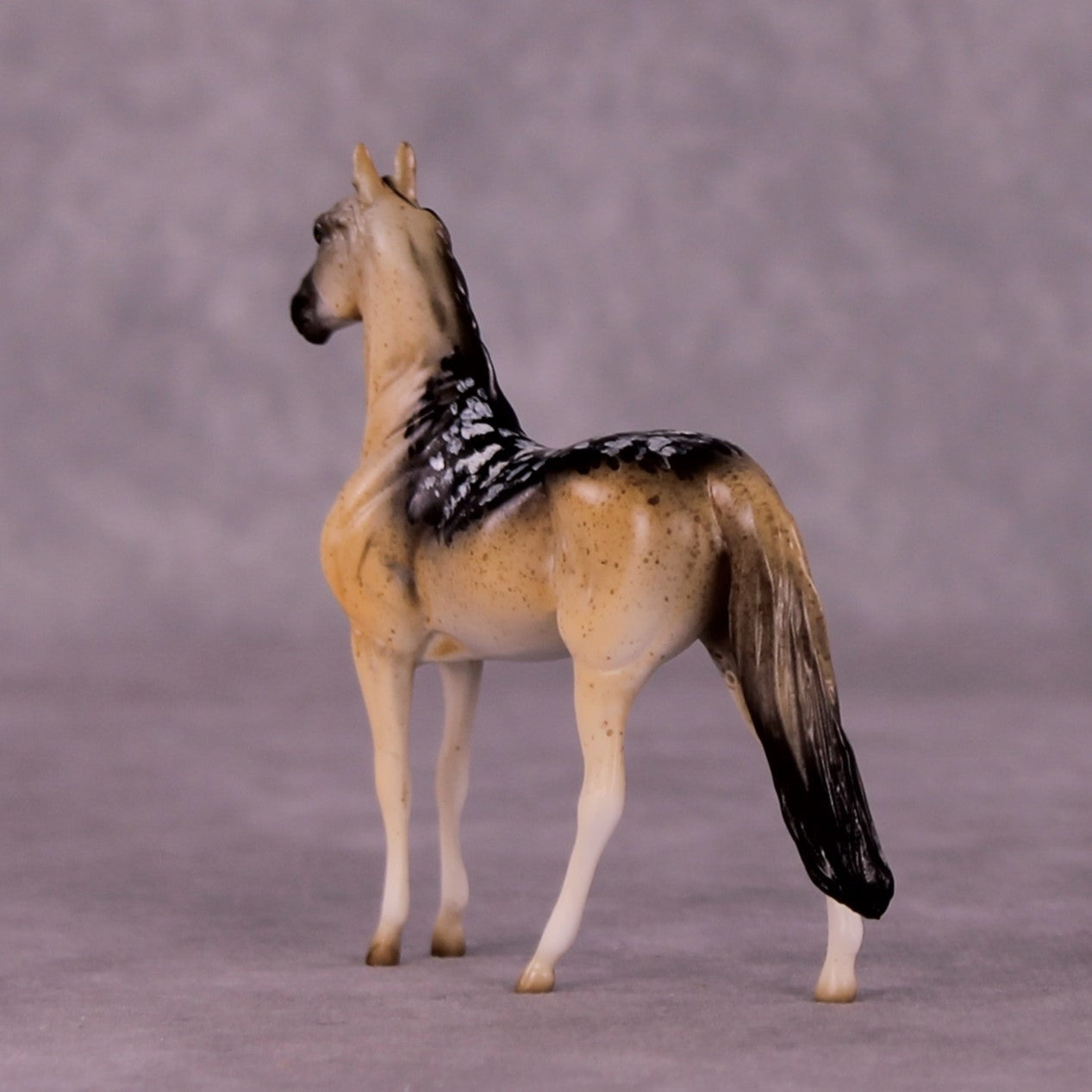 Tanamera OOAK Morgan Chip by Jess Hamill MS25