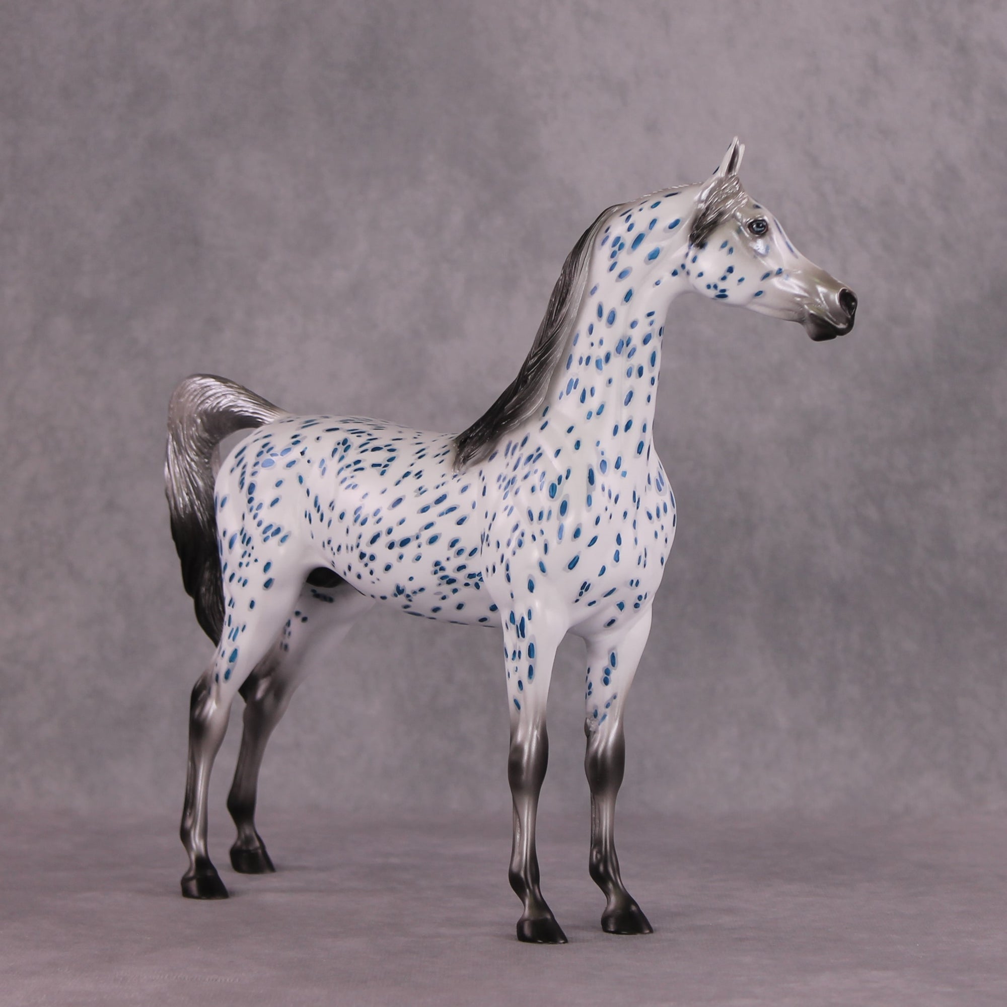 "Tickets" OOAK Arabian by Dawn Quick SHCF25