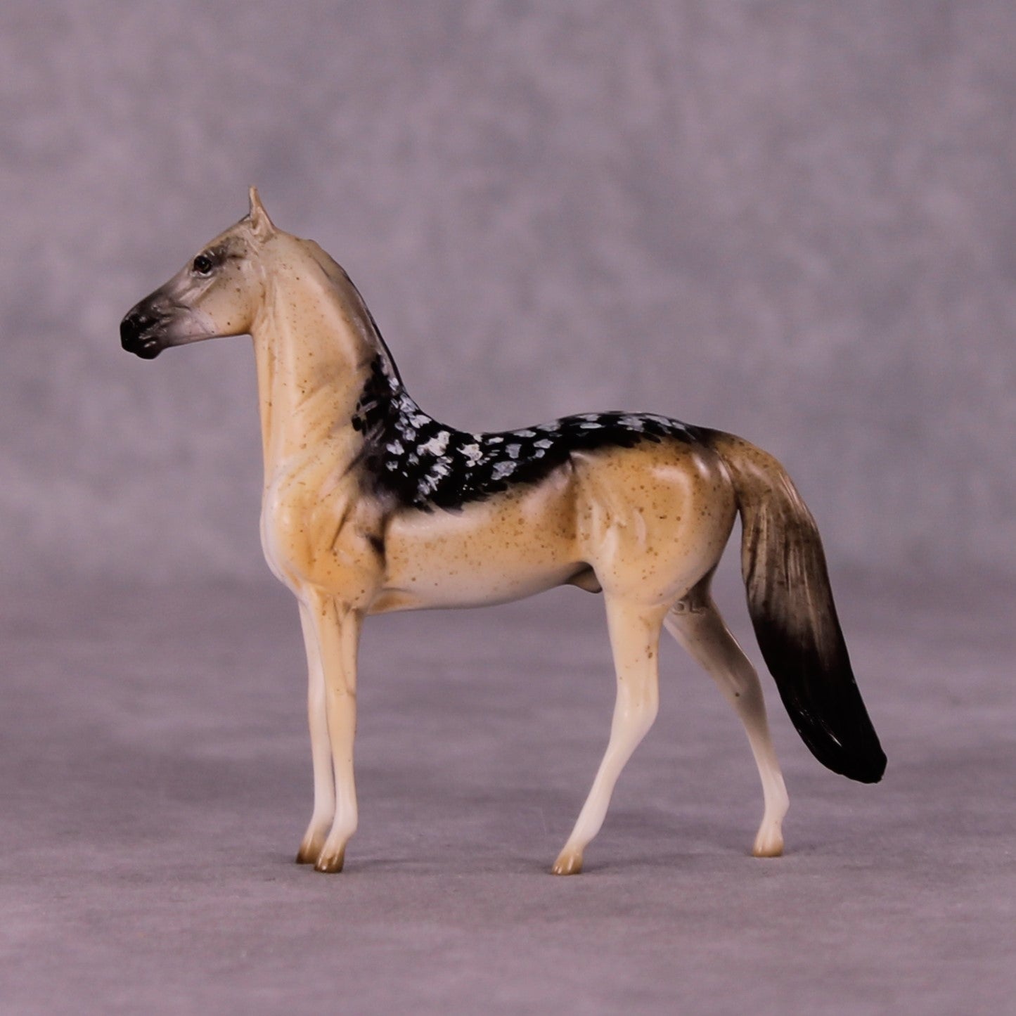 Tanamera OOAK Morgan Chip by Jess Hamill MS25