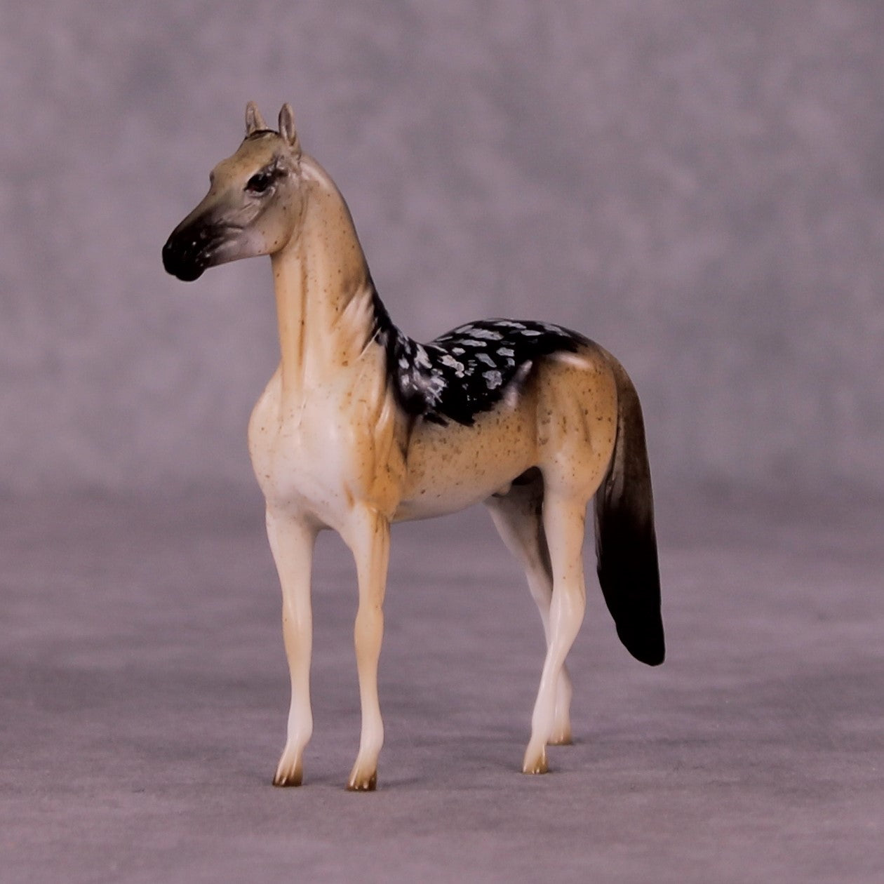 Tanamera OOAK Morgan Chip by Jess Hamill MS25