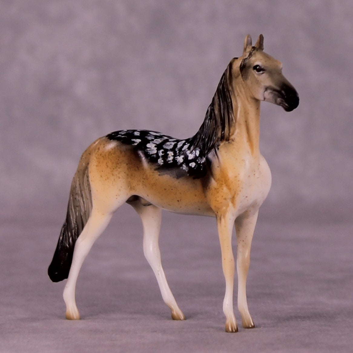 Tanamera OOAK Morgan Chip by Jess Hamill MS25