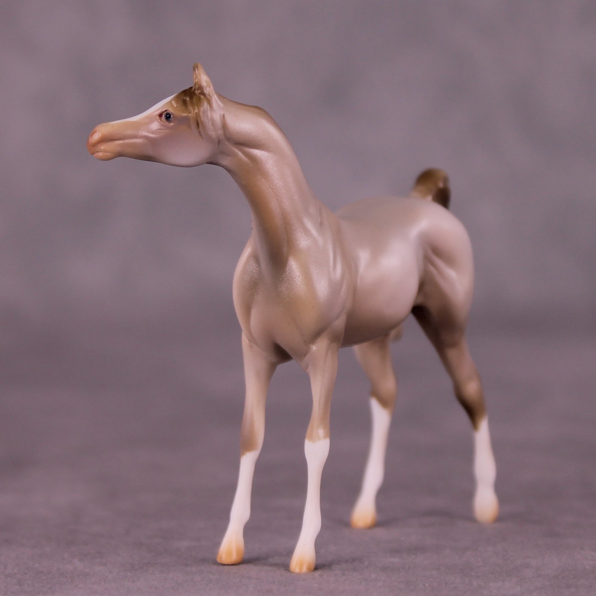 Silver Maple OOAK FCM Chip Arabian by Mindy Berg Best Offers LHS25 09/09/2025