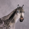 Stone Horses OOAK FCM &quot;Ounce&quot; - Snow Leopard ISH by Jess Hamill &amp; Mona Best Offer 1/28/2025