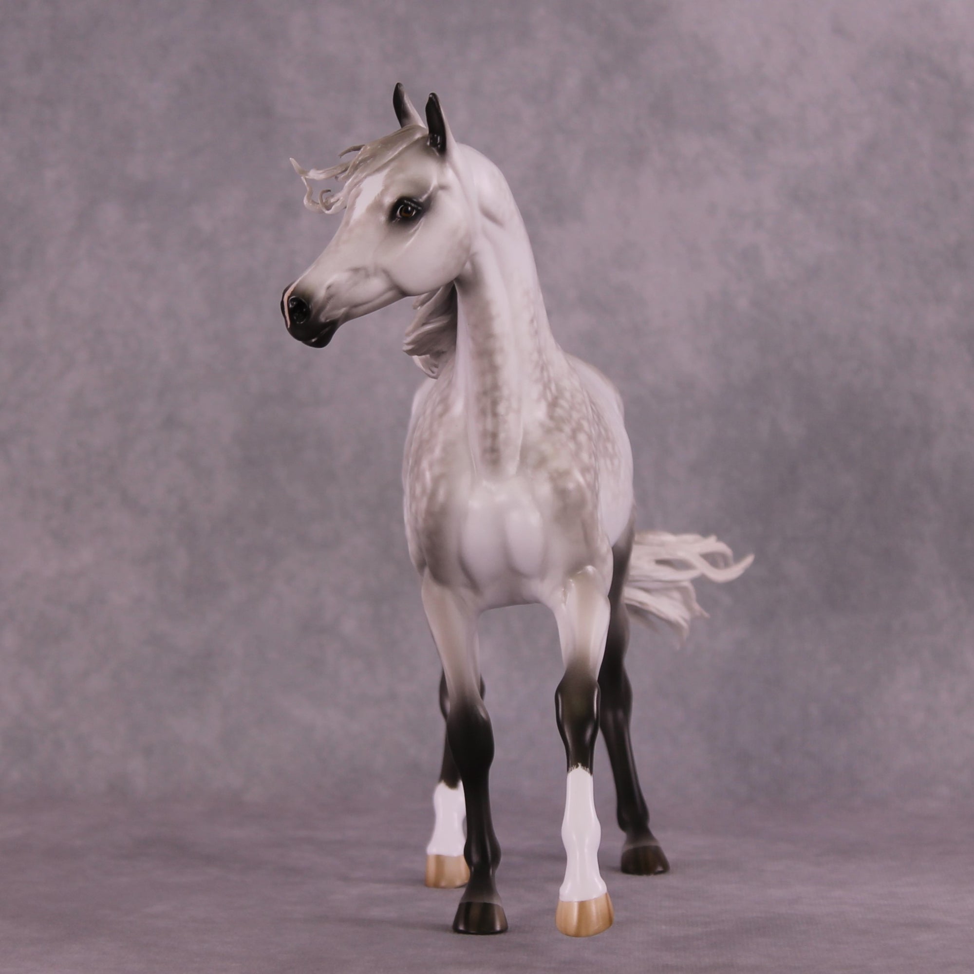 "Amelia" OOAK FCM Arabian Mare by Sheryl Leisure Best Offer 07/01/25