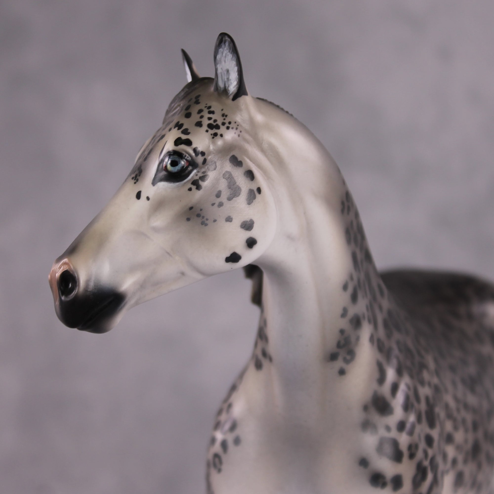 "Ounce" OOAK Snow Leopard FCM ISH by Jess Hamill &amp; Mona Best Offer 1/28/2025