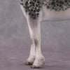 Stone Horses OOAK FCM &quot;Ounce&quot; - Snow Leopard ISH by Jess Hamill &amp; Mona Best Offer 1/28/2025