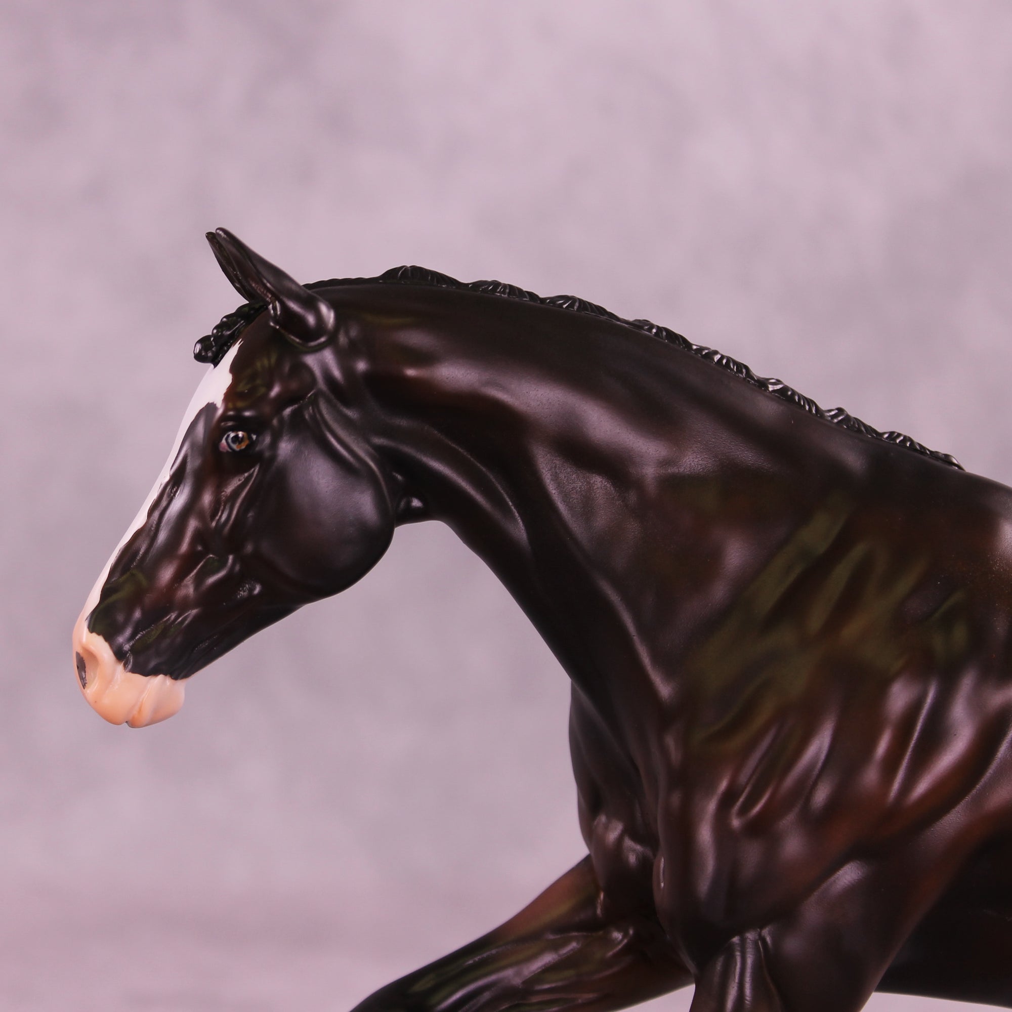 Strikes My Fancy LE-15 FCM Volo by Anna Rieck and Carissa Mathews PFP26