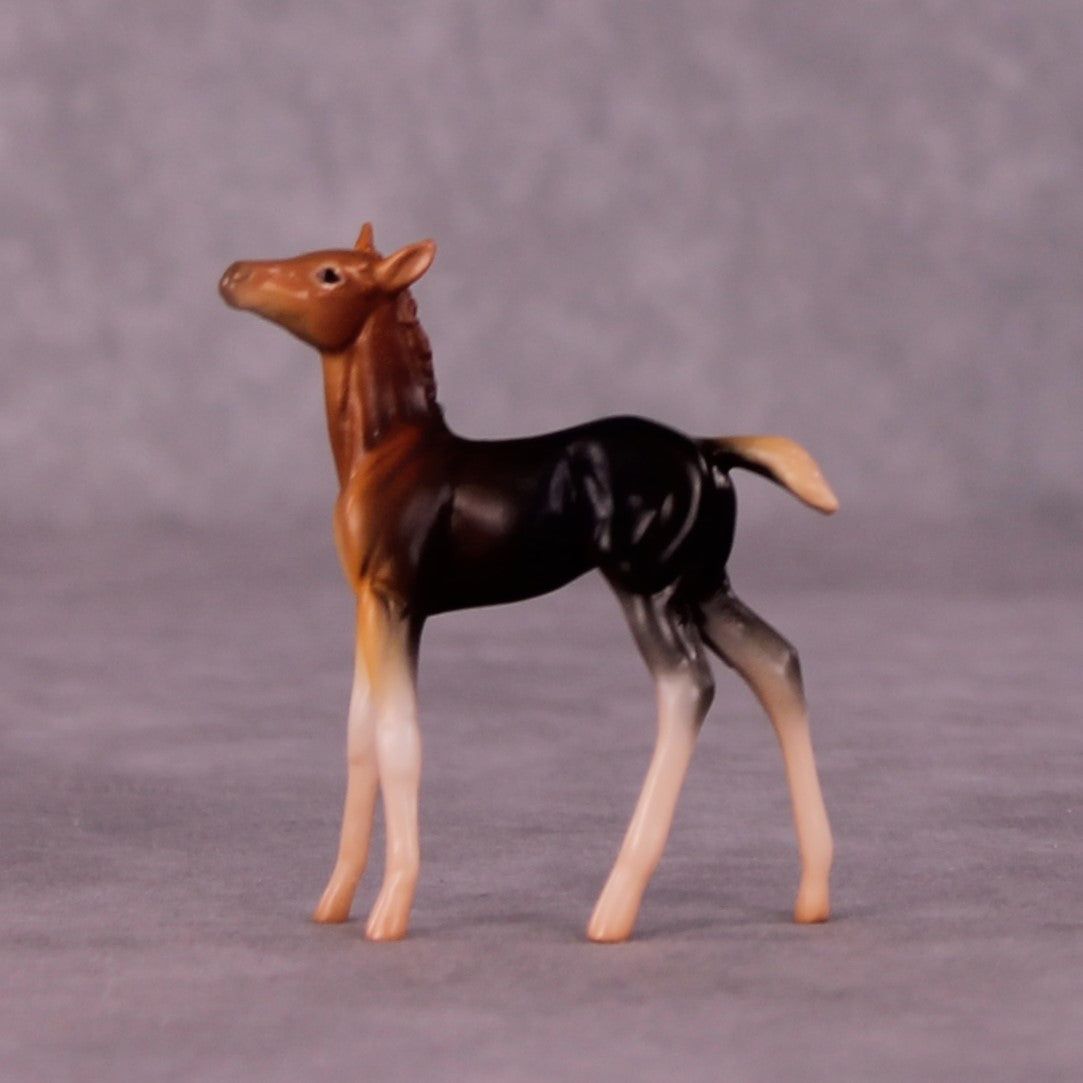 Addo LE-3 Foal Chip by Jess Hamill MS25