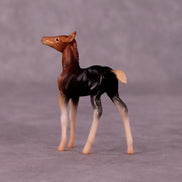 Addo LE-3 Foal Chip by Jess Hamill MS25