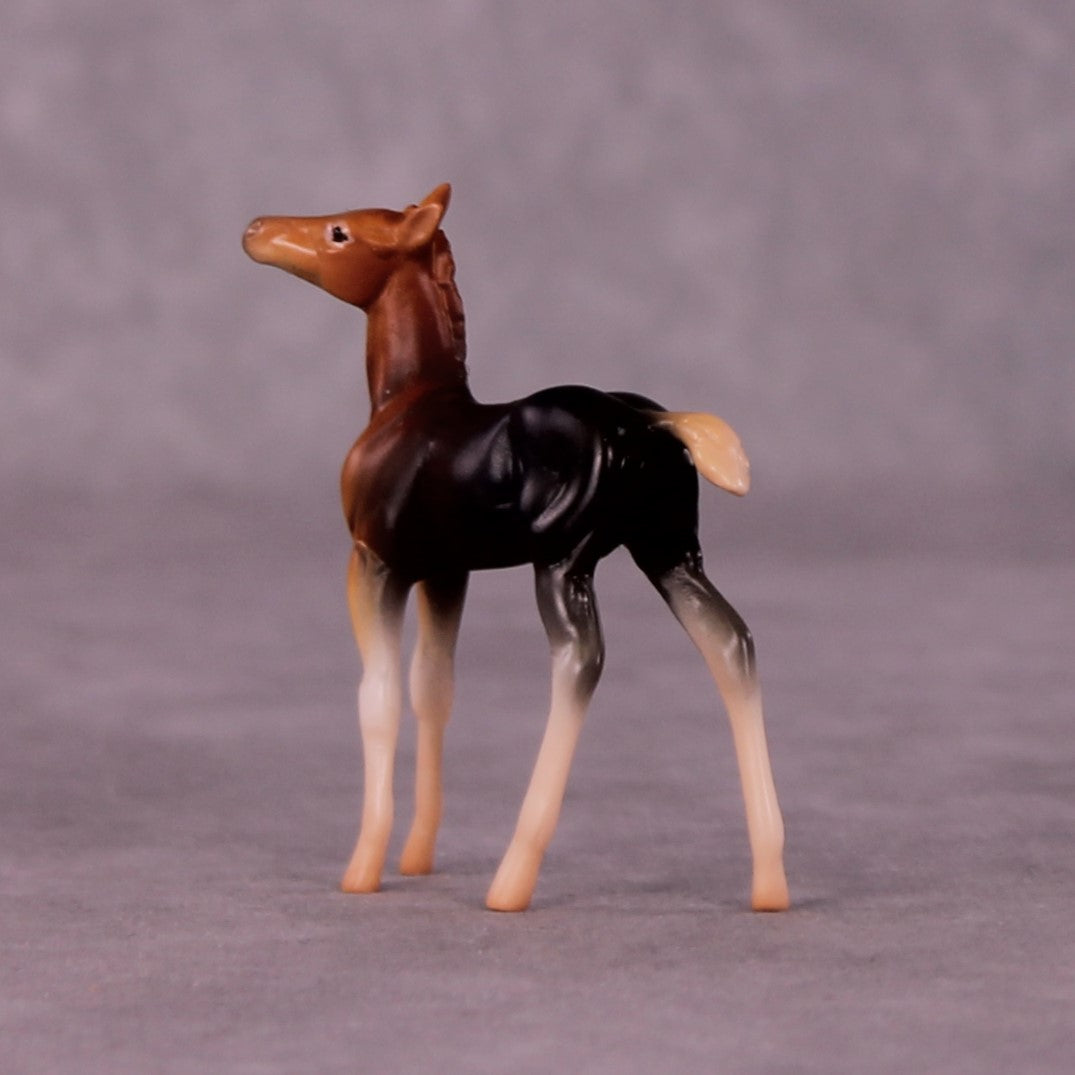 Addo LE-3 Foal Chip by Jess Hamill MS25