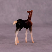 Addo LE-3 Foal Chip by Jess Hamill MS25