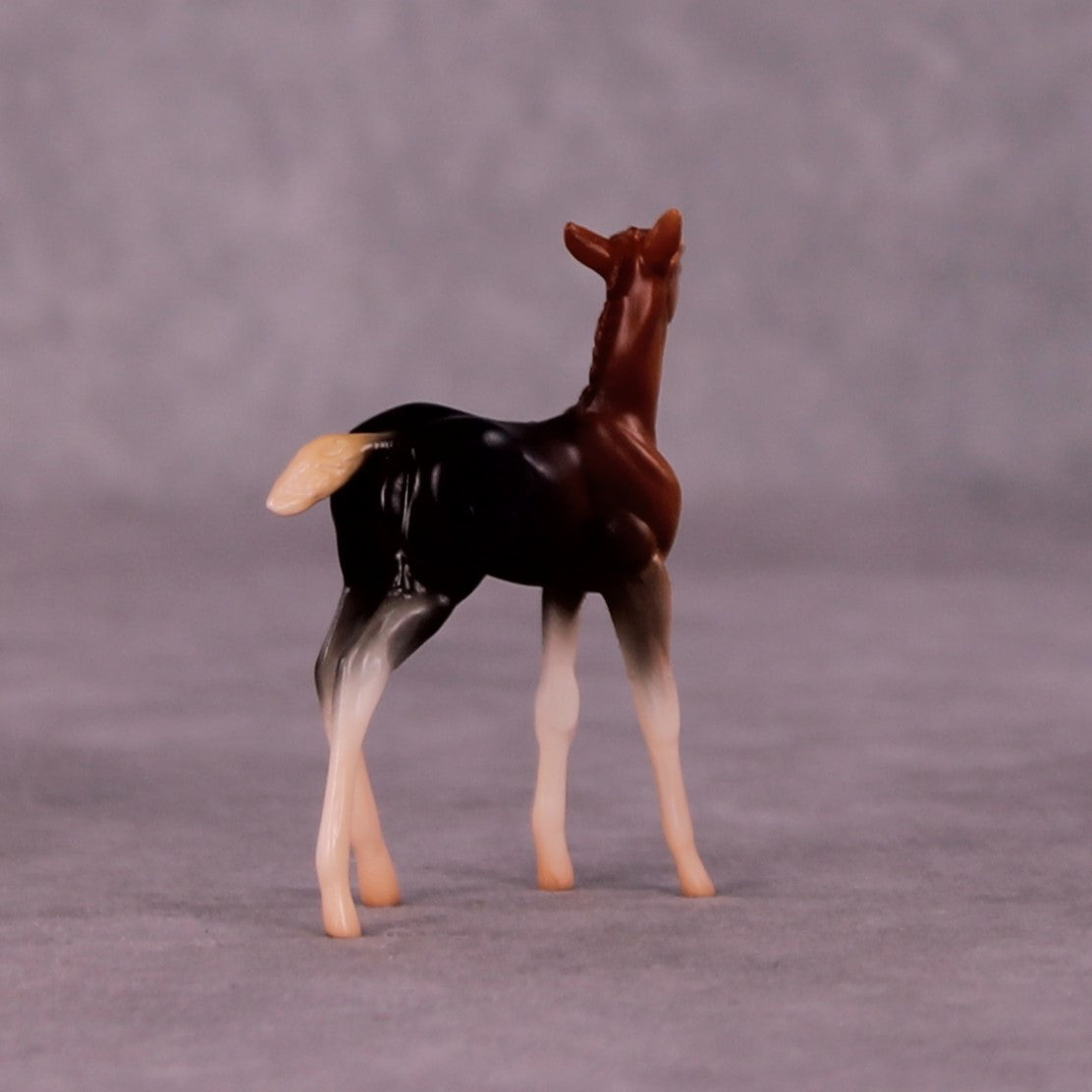 Addo LE-3 Foal Chip by Jess Hamill MS25