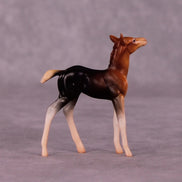 Addo LE-3 Foal Chip by Jess Hamill MS25