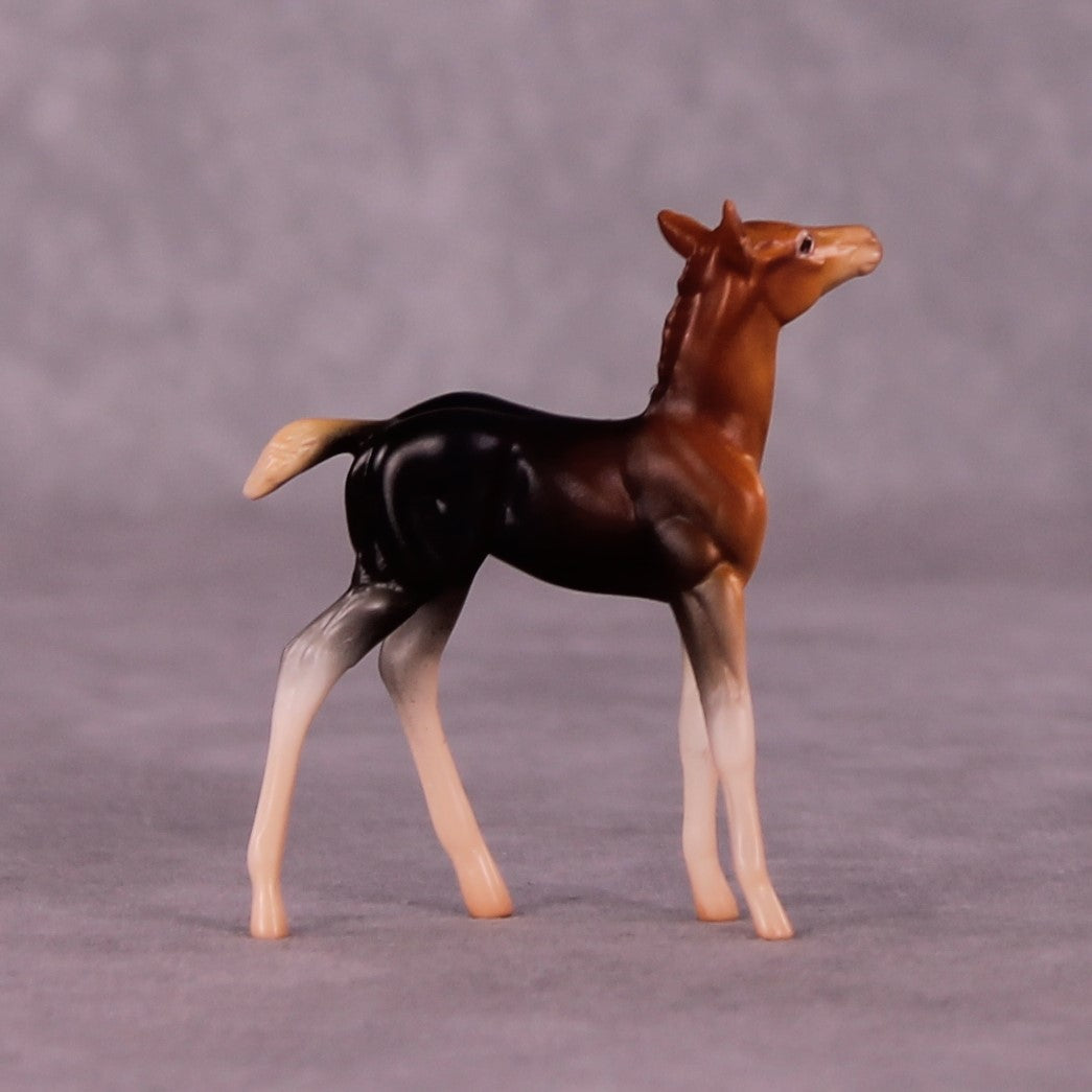 Addo LE-3 Foal Chip by Jess Hamill MS25