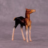 Addo LE-3 Foal Chip by Jess Hamill MS25