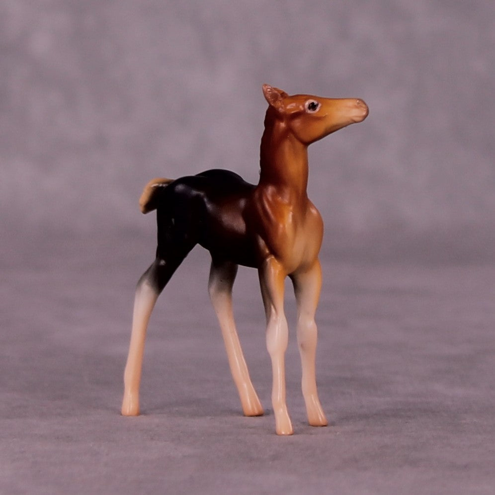 Addo LE-3 Foal Chip by Jess Hamill MS25