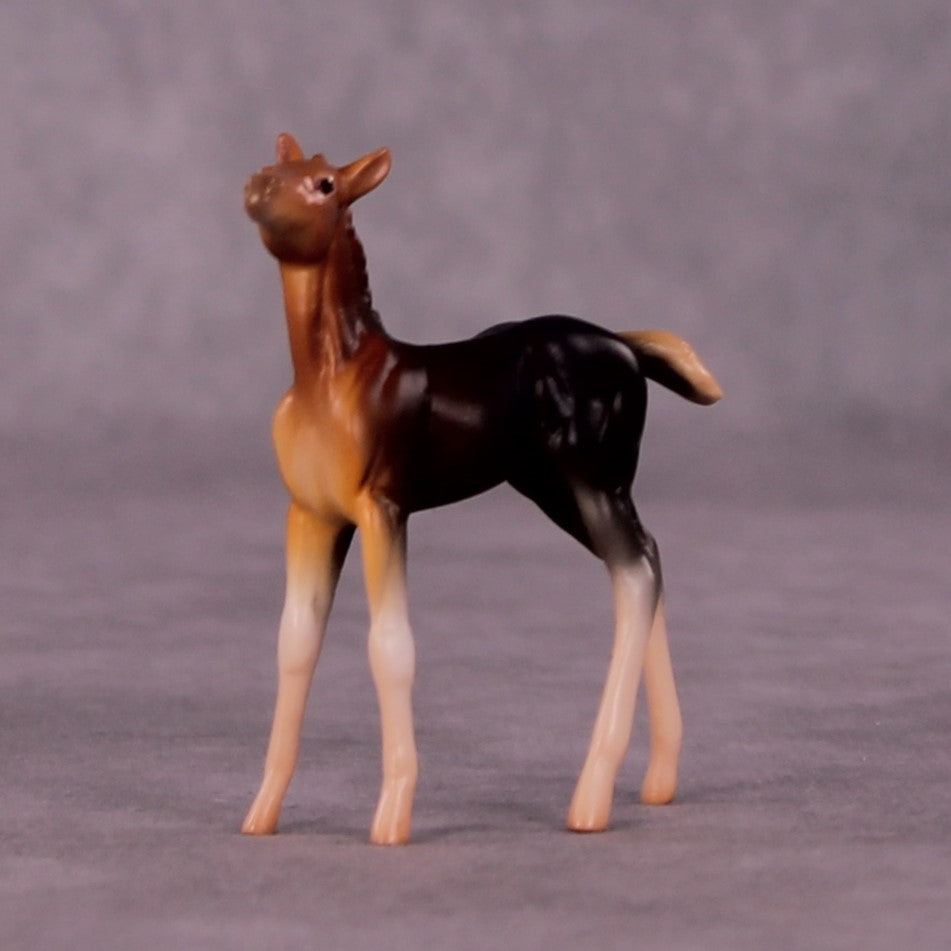Addo LE-3 Foal Chip by Jess Hamill MS25
