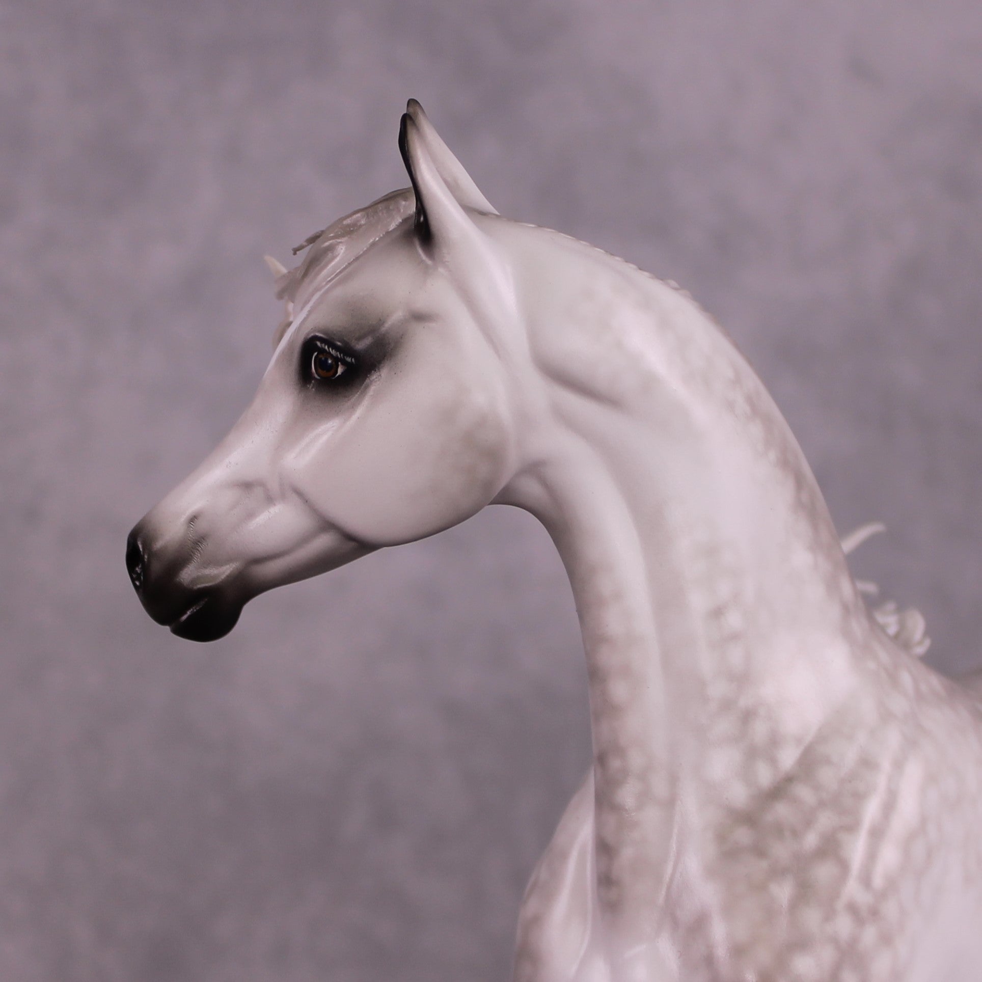 "Amelia" OOAK FCM Arabian Mare by Sheryl Leisure Best Offer 07/01/25