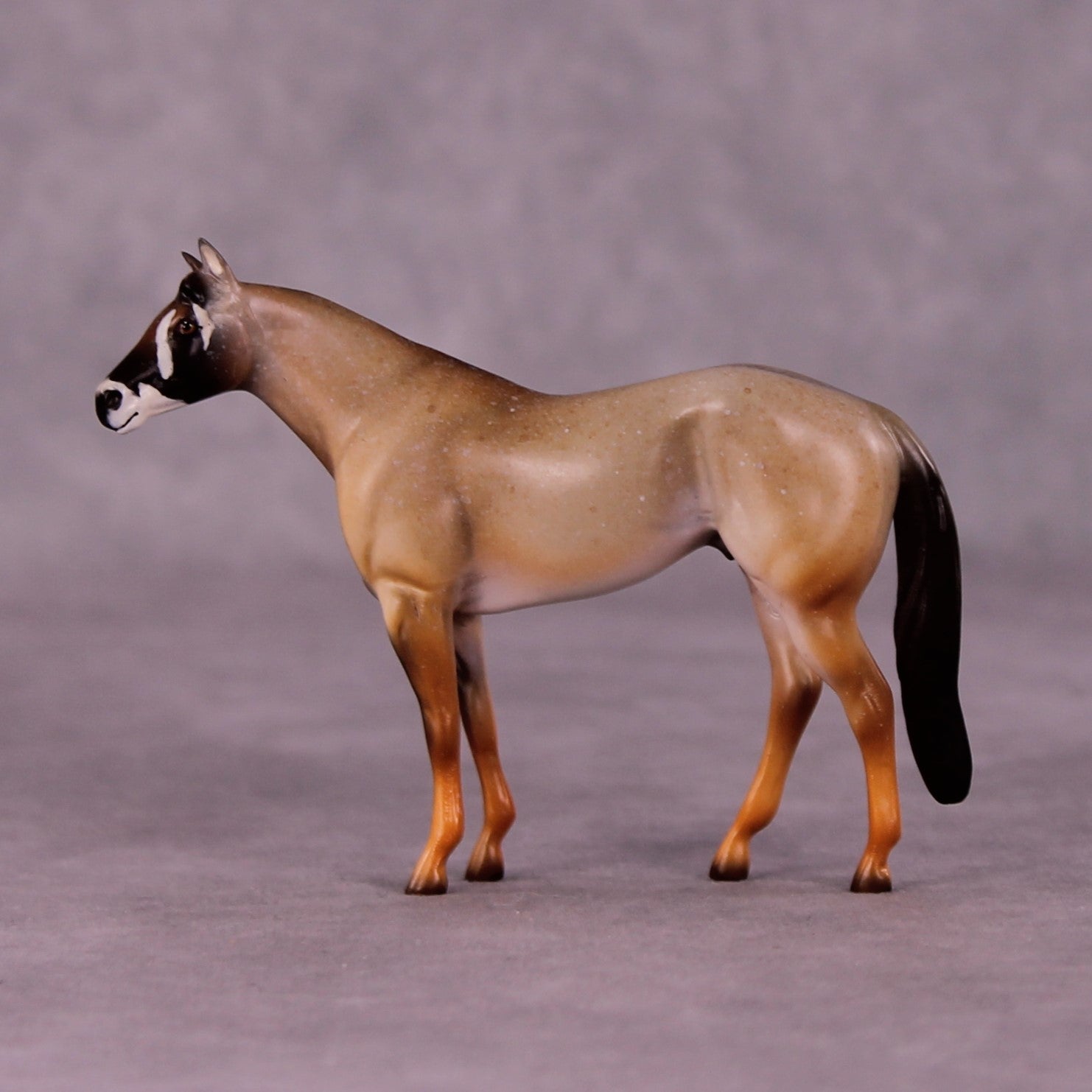 Kgalagadi LE-3 Stock Chip by Jess Hamill MS25