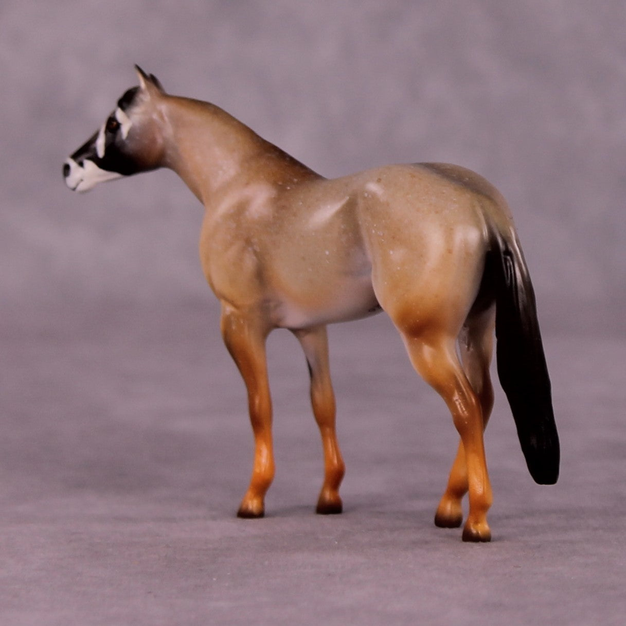 Kgalagadi LE-3 Stock Chip by Jess Hamill MS25