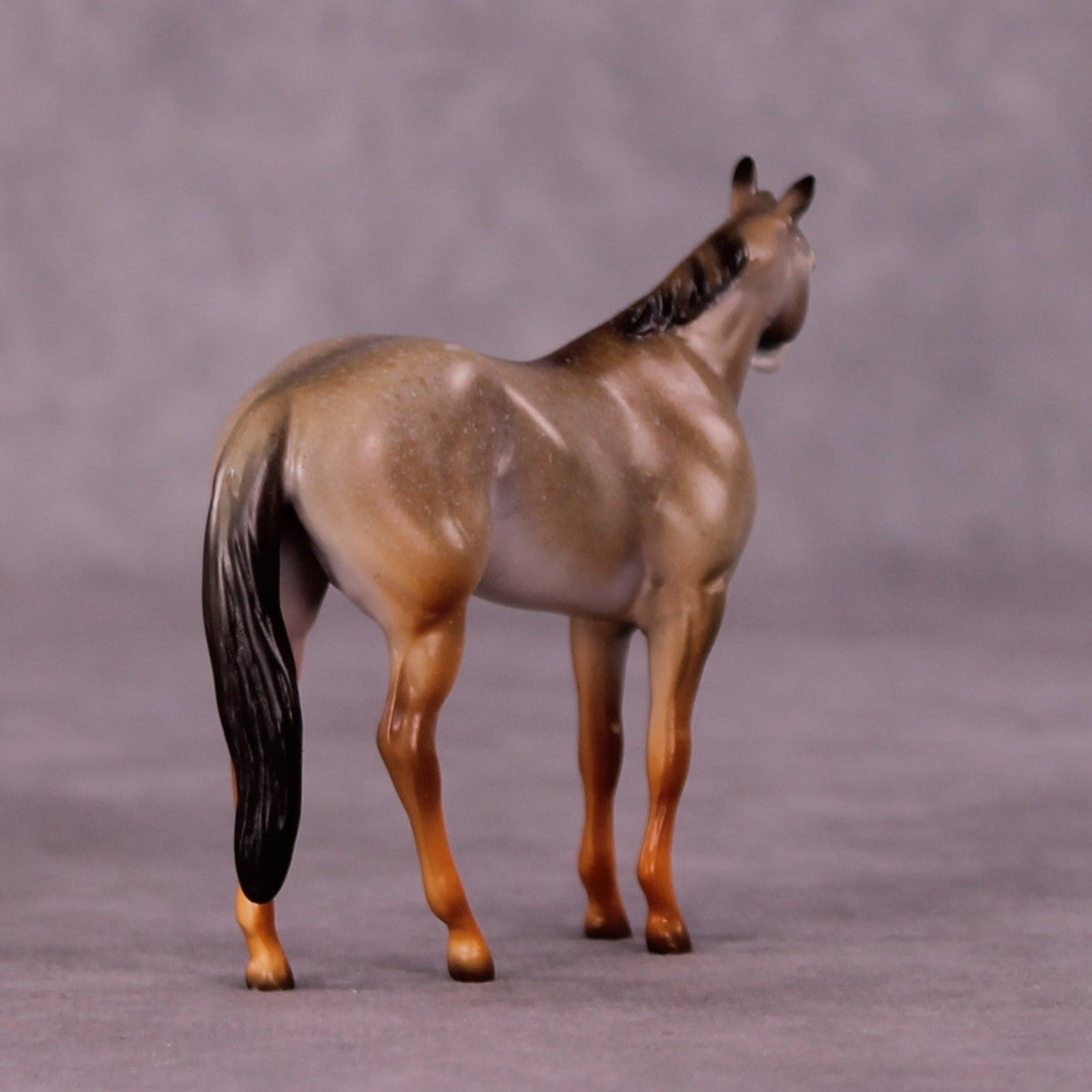 Kgalagadi LE-3 Stock Chip by Jess Hamill MS25