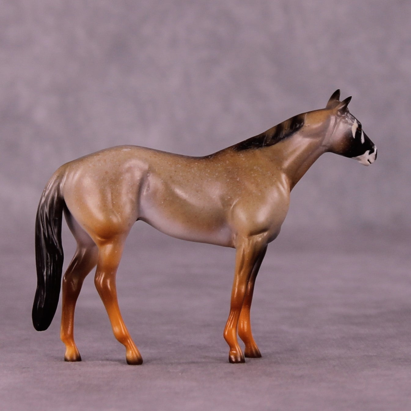 Kgalagadi LE-3 Stock Chip by Jess Hamill MS25