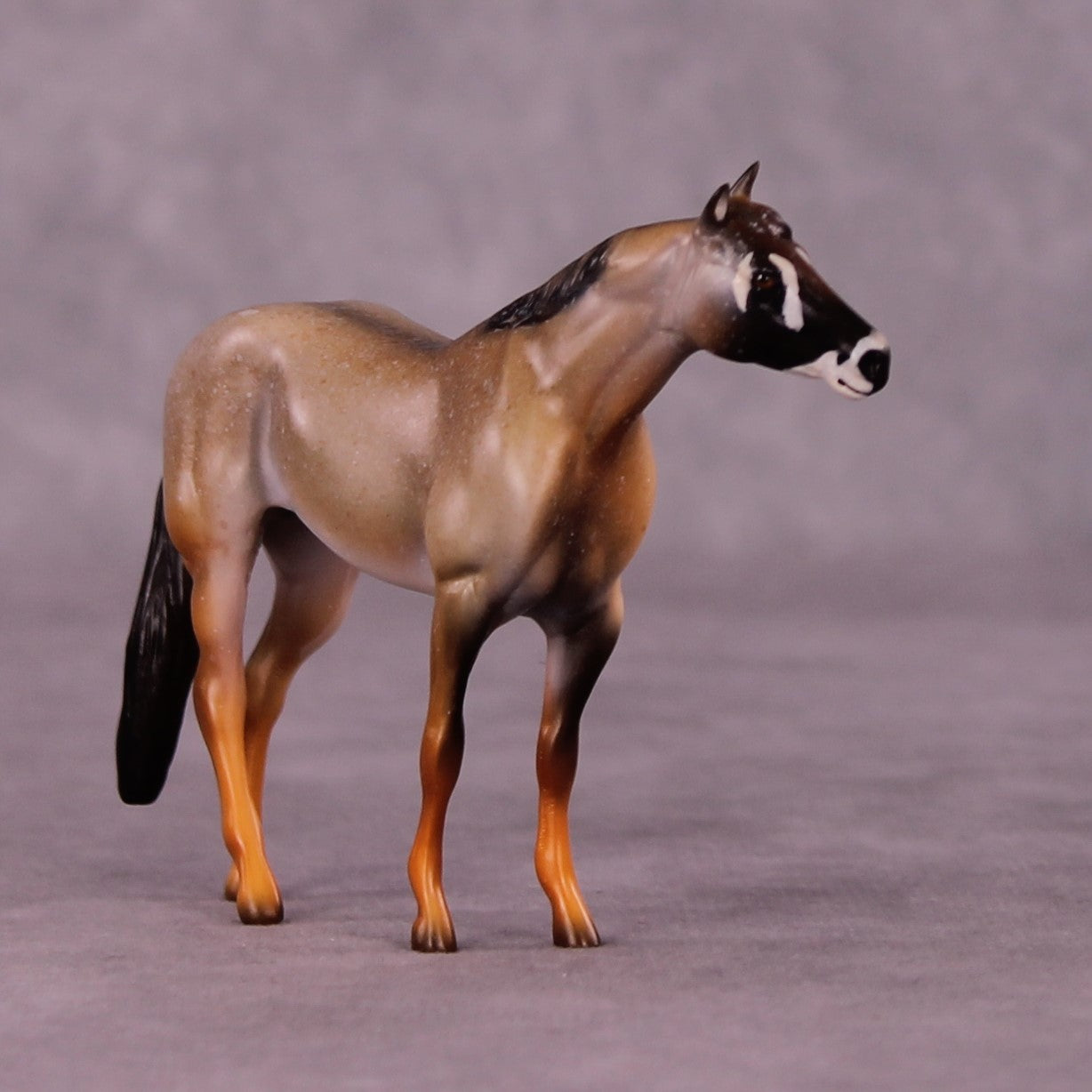 Kgalagadi LE-3 Stock Chip by Jess Hamill MS25