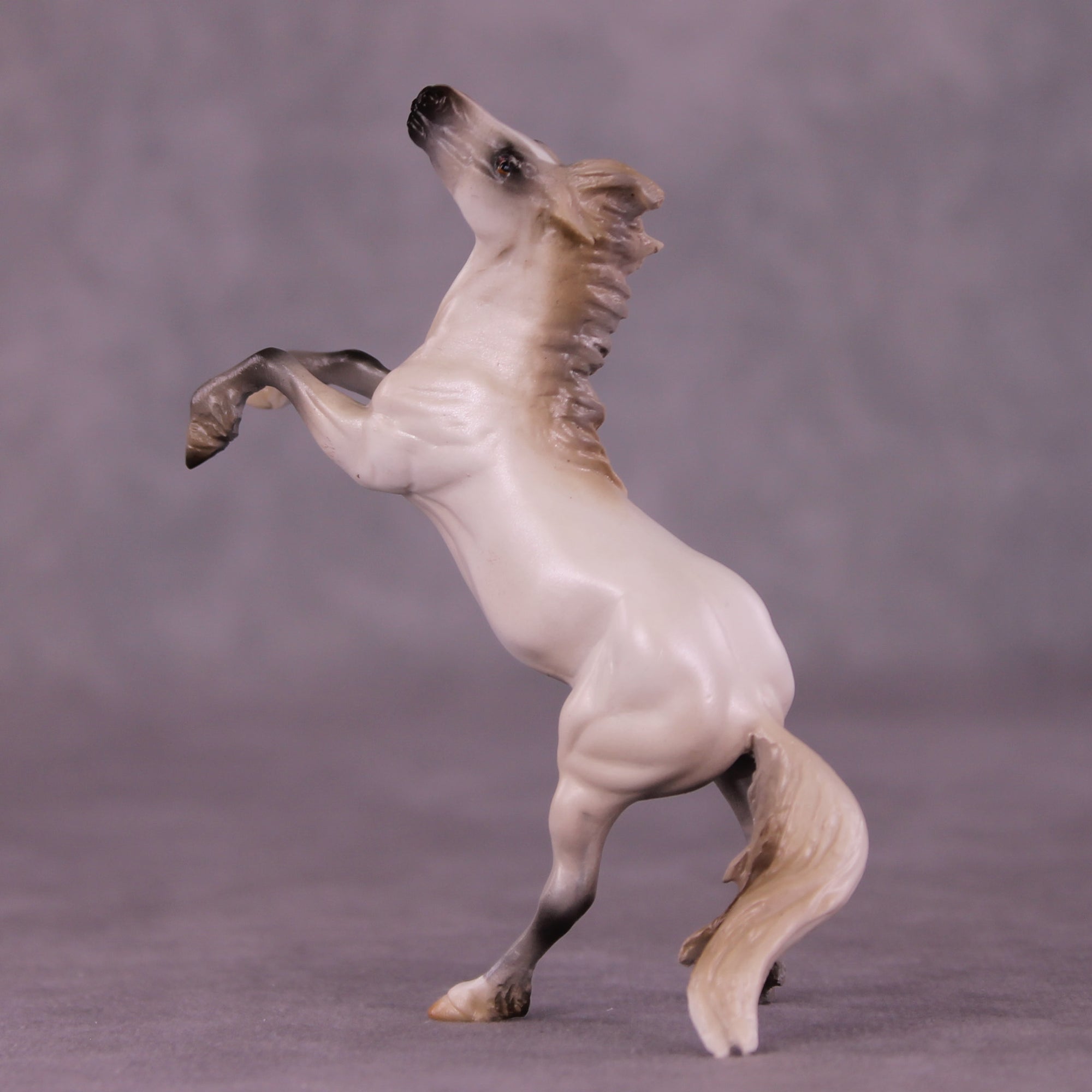 Sugar on Snow OOAK EFCM Chip Rearing Horse by Mindy Berg Best Offers LHS25 09/09/2025