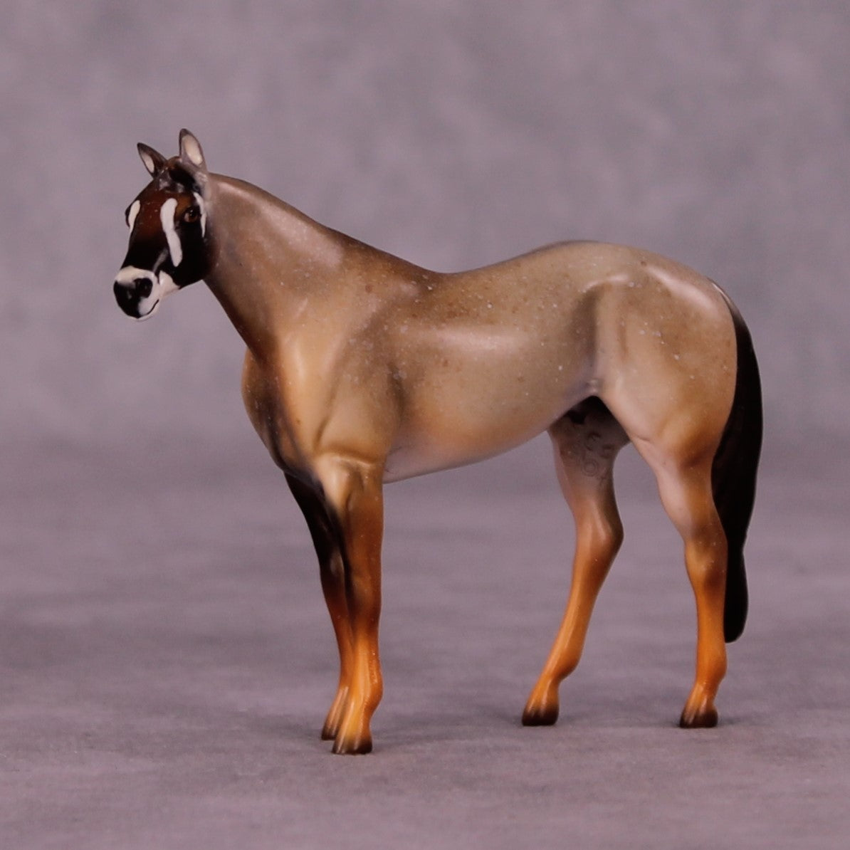 Kgalagadi LE-3 Stock Chip by Jess Hamill MS25