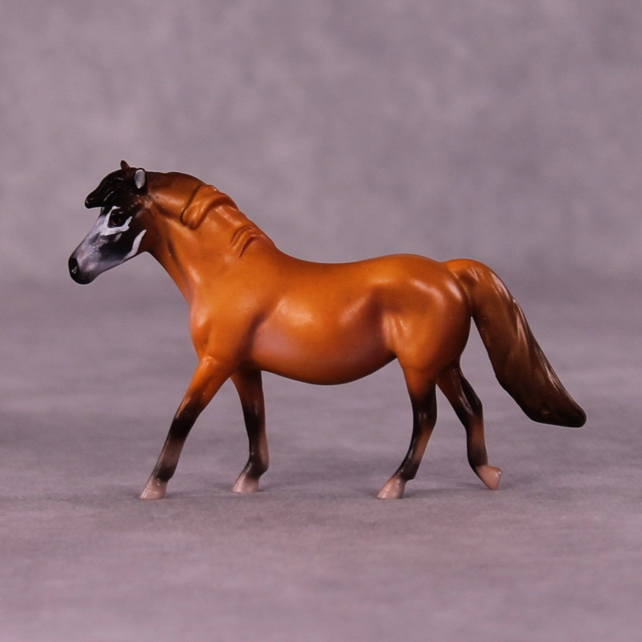 Yankari LE-3 Pony Chip by Jess Hamill MS25