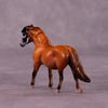 Yankari LE-3 Pony Chip by Jess Hamill MS25