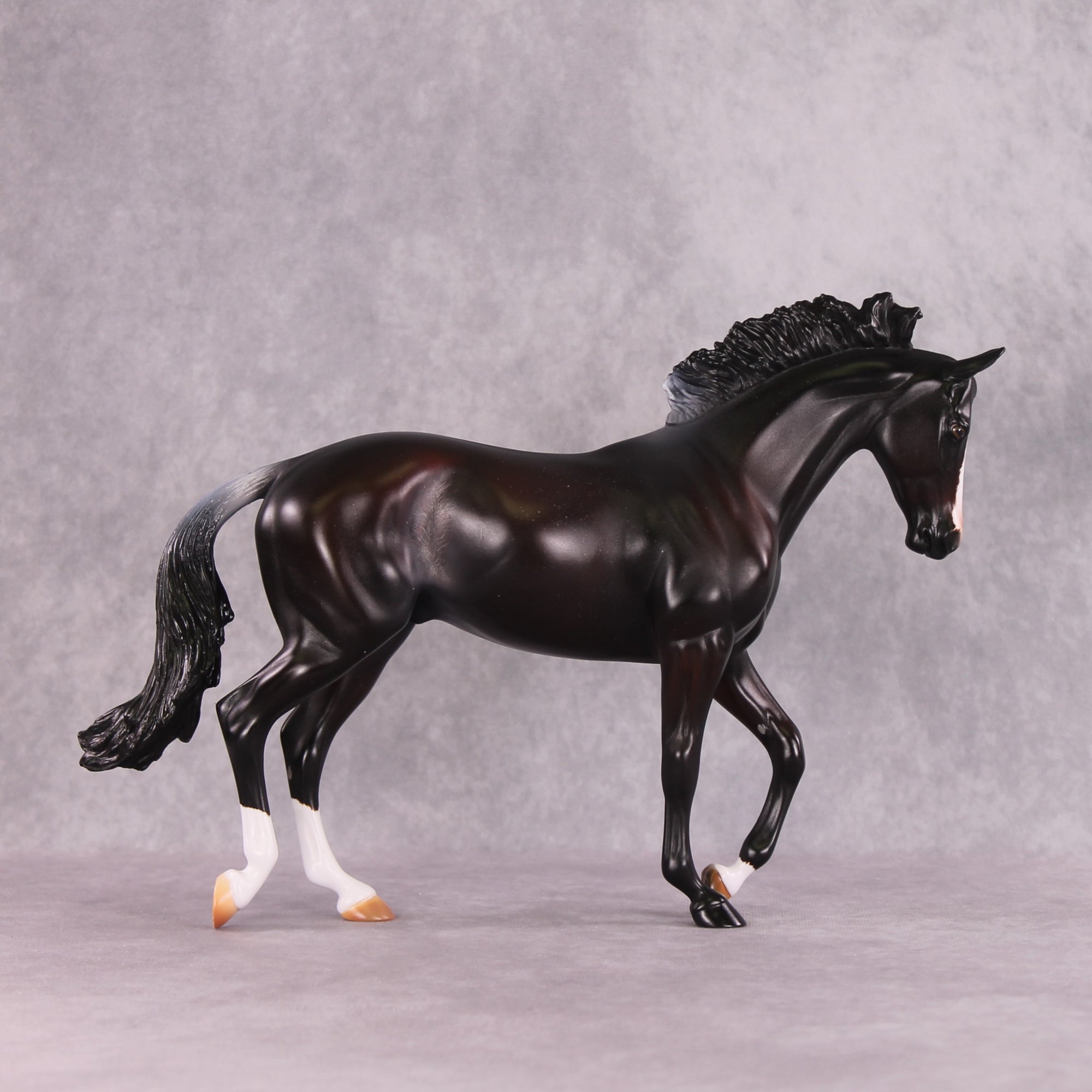 "Night Moves" FCM Thoroughbred By Missy Shaw