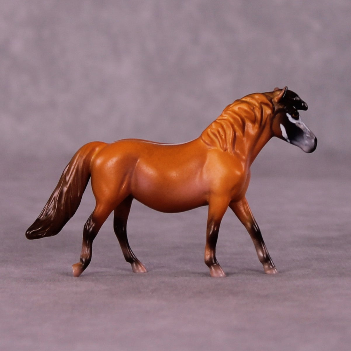 Yankari LE-3 Pony Chip by Jess Hamill MS25