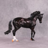 &quot;Night Moves&quot; FCM Thoroughbred By Missy Shaw