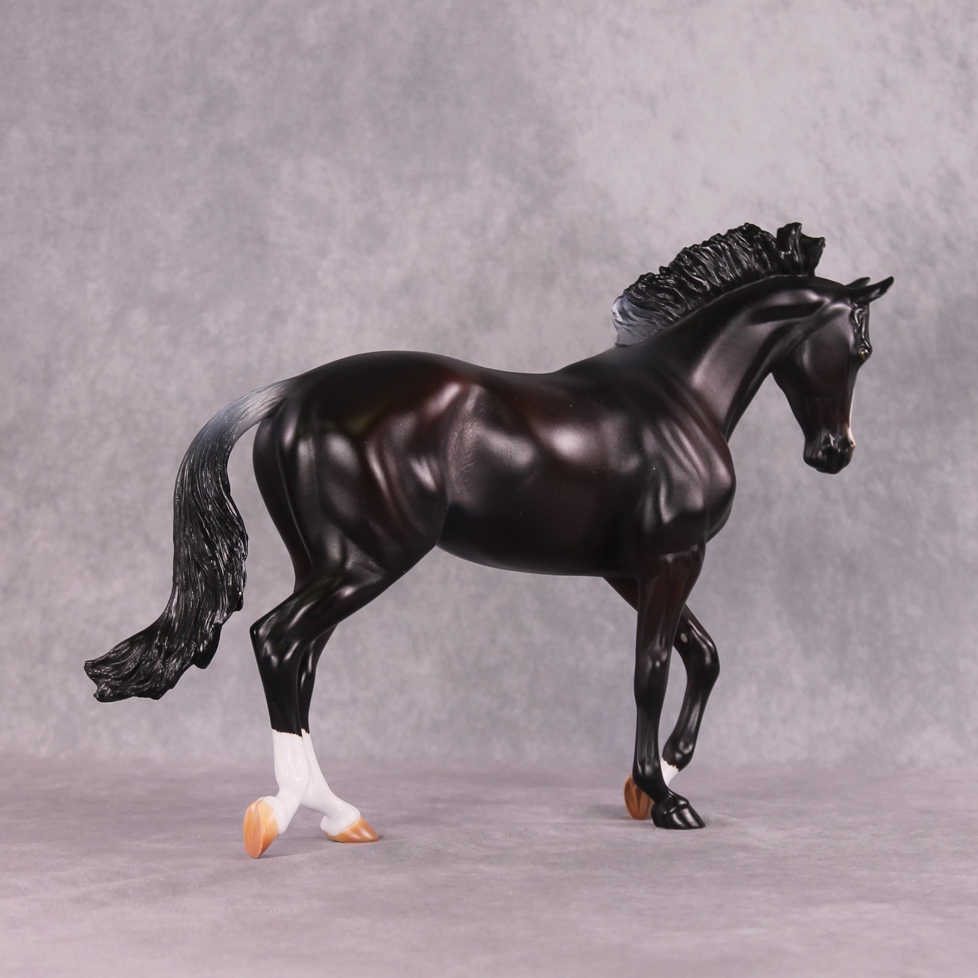 "Night Moves" FCM Thoroughbred By Missy Shaw