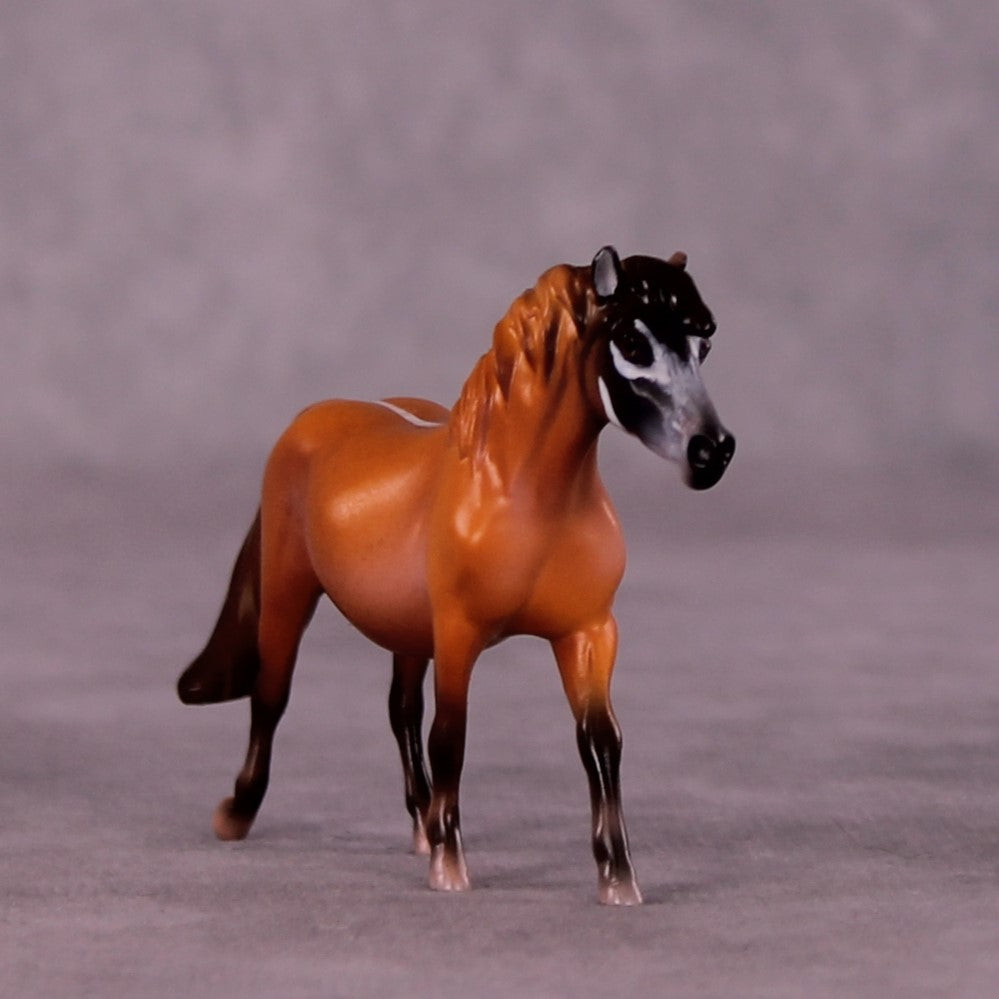 Yankari LE-3 Pony Chip by Jess Hamill MS25