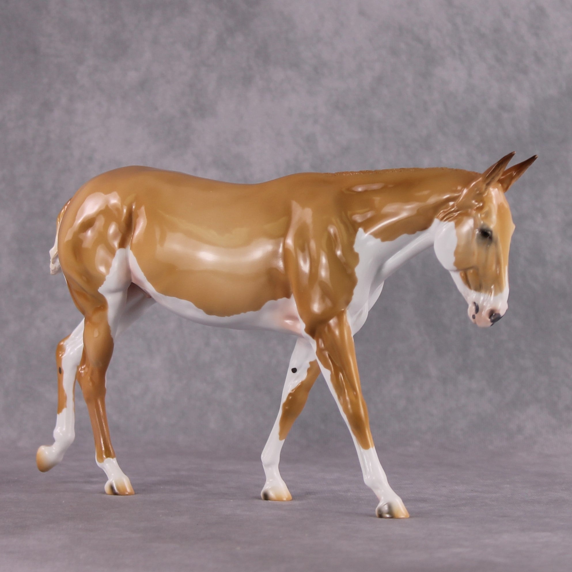 Stone Horses Glossy "Milo" 2023 Paws &amp; Claws Corgi Mule by Ashley Palmer