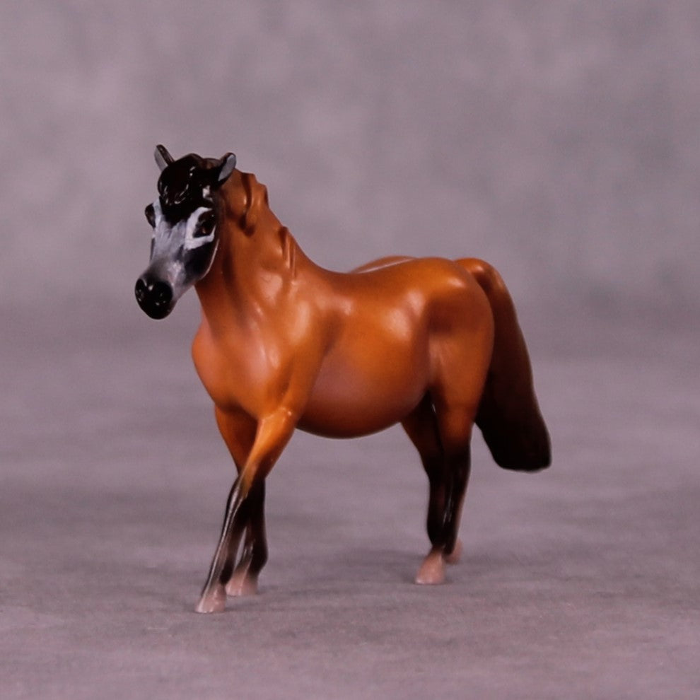 Yankari LE-3 Pony Chip by Jess Hamill MS25