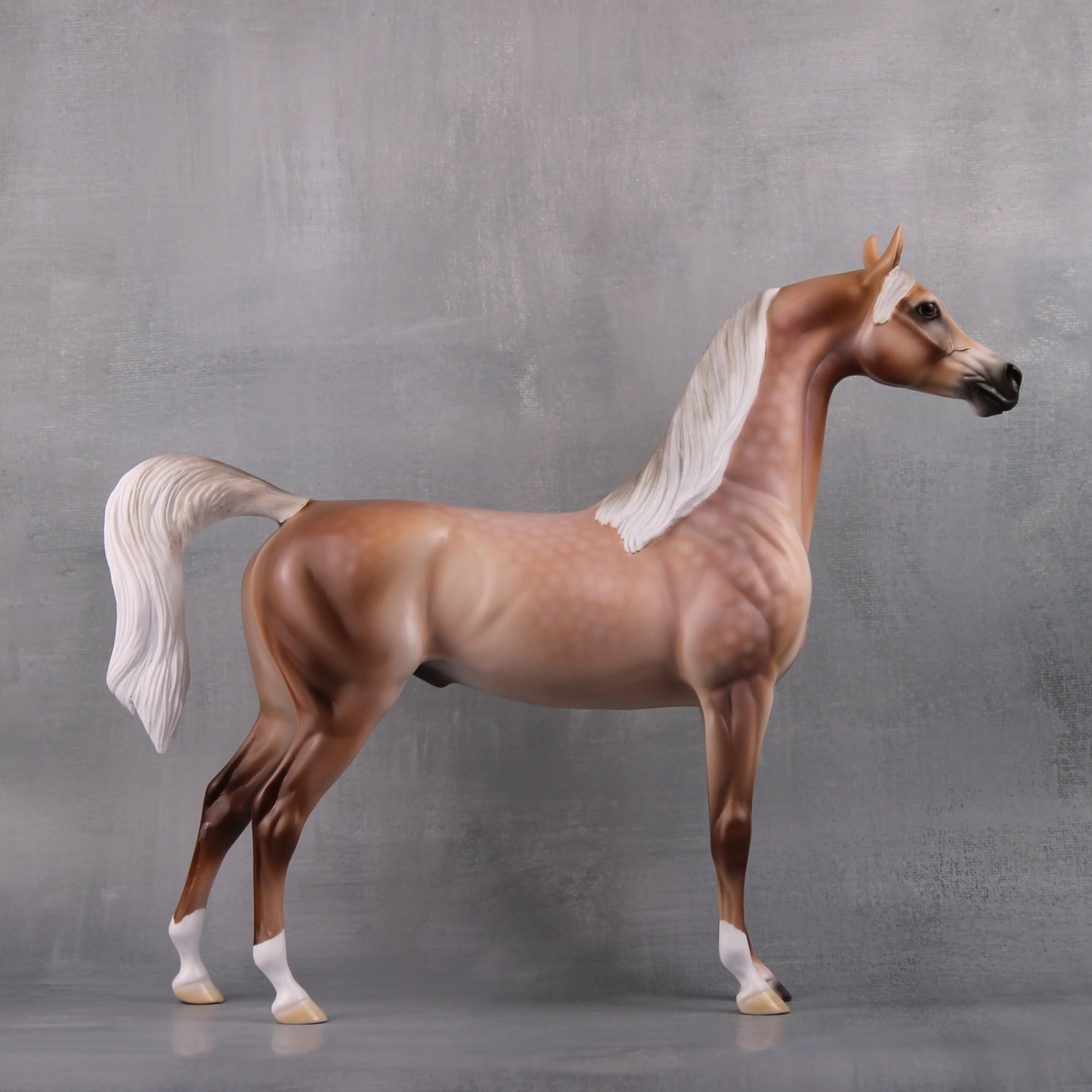 Spooky LE 10 Custom Dappled Mulberry Grey Arabian By Ashley Palmer MM24 Run