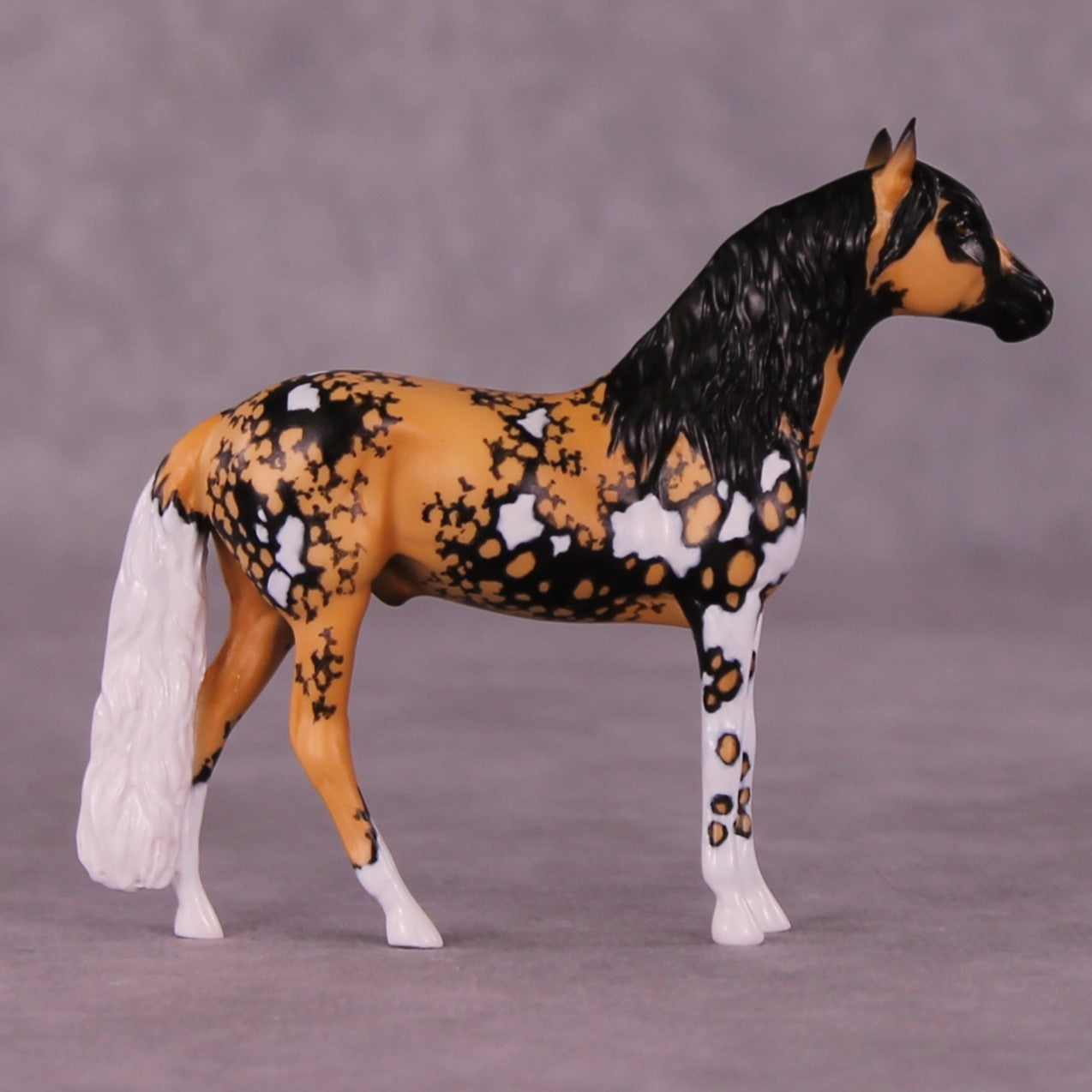 MwiThree LE-3 Andalusian Chip by Jess Hamill MS25