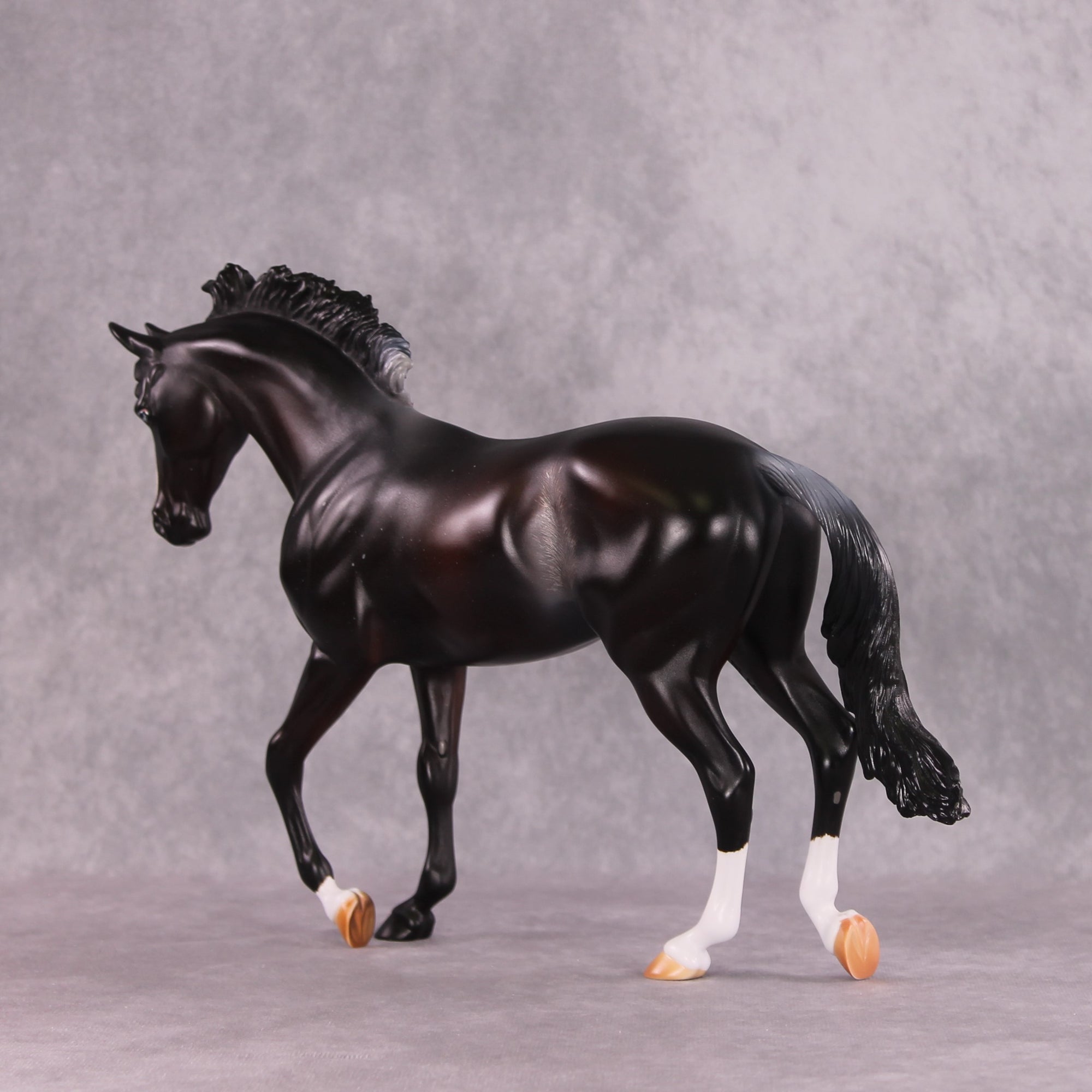 "Night Moves" FCM Thoroughbred By Missy Shaw