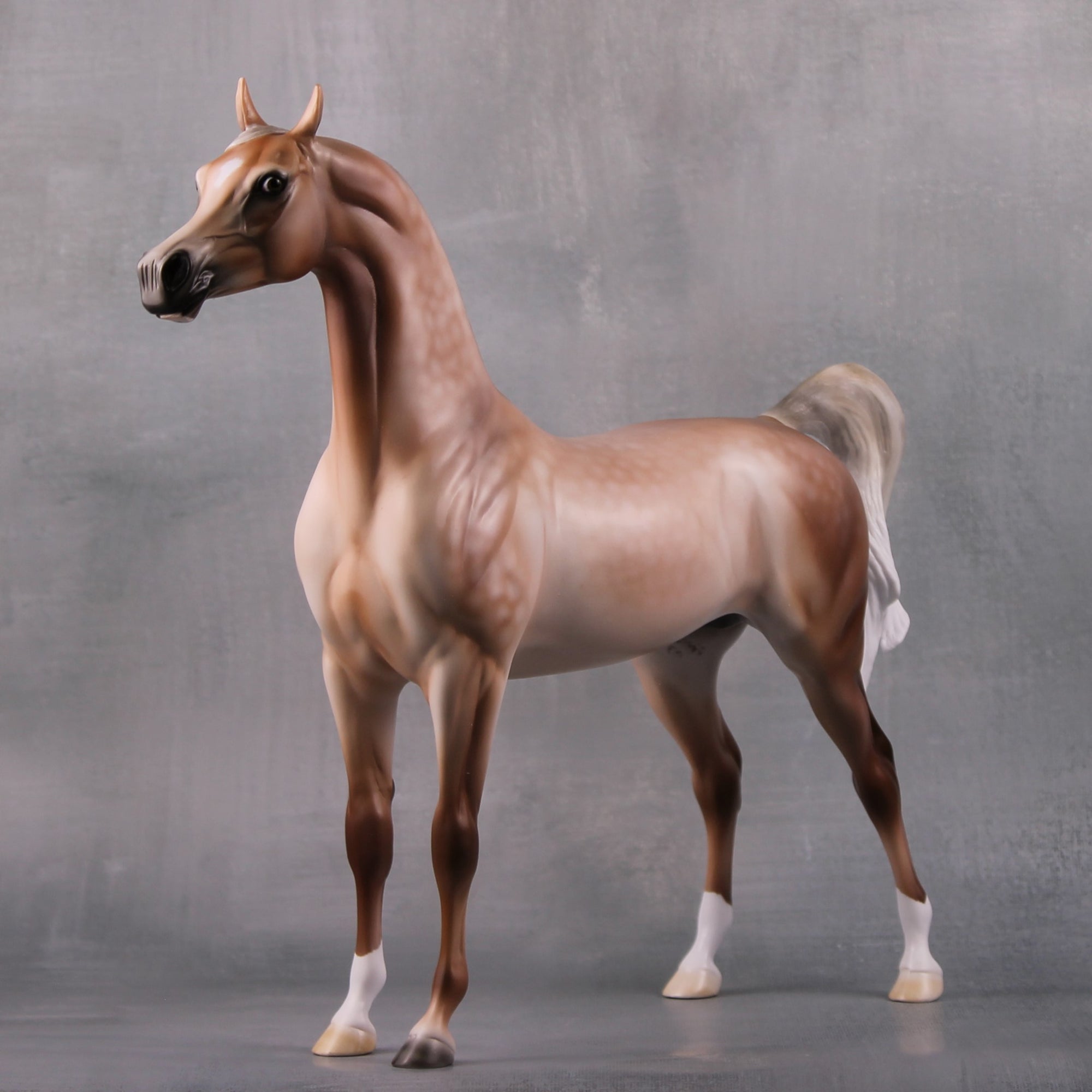 Spooky LE 10 Custom Dappled Mulberry Grey Arabian By Ashley Palmer MM24 Run