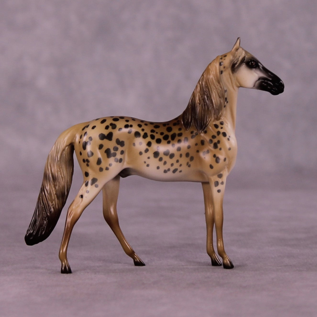 Masai Mara LE-3 Morgan Chip by Jess Hamill MS25